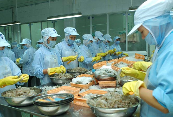 Tôm chế biến của Việt Nam bị phát hiện có chất cấm - 1