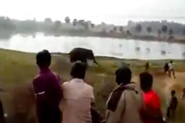 Ấn Độ: Nhảy xuống tắm cùng đàn voi, bị truy đuổi rồi giẫm chết - 1
