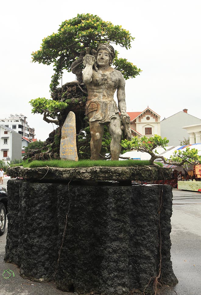 Xôn xao “cây Thạch Sanh” được báo giá hơn 4 tỉ ở Hải Dương - 1