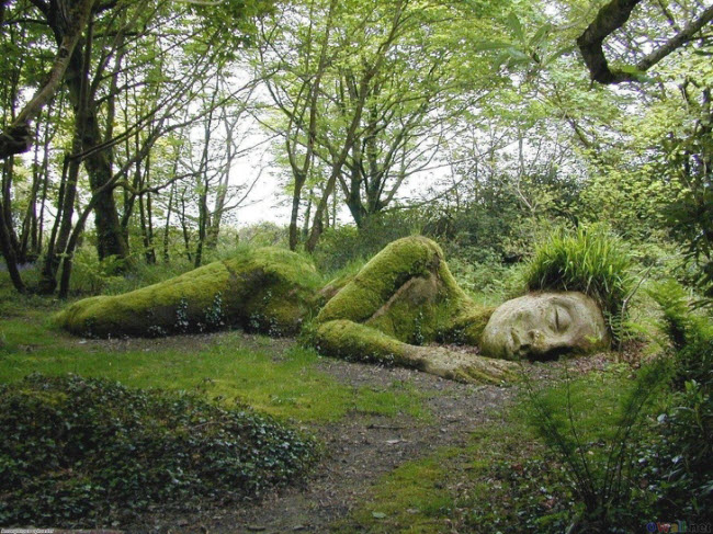 Bức tượng “ngủ” trong khu vườn hoang ở Heligan, Anh.