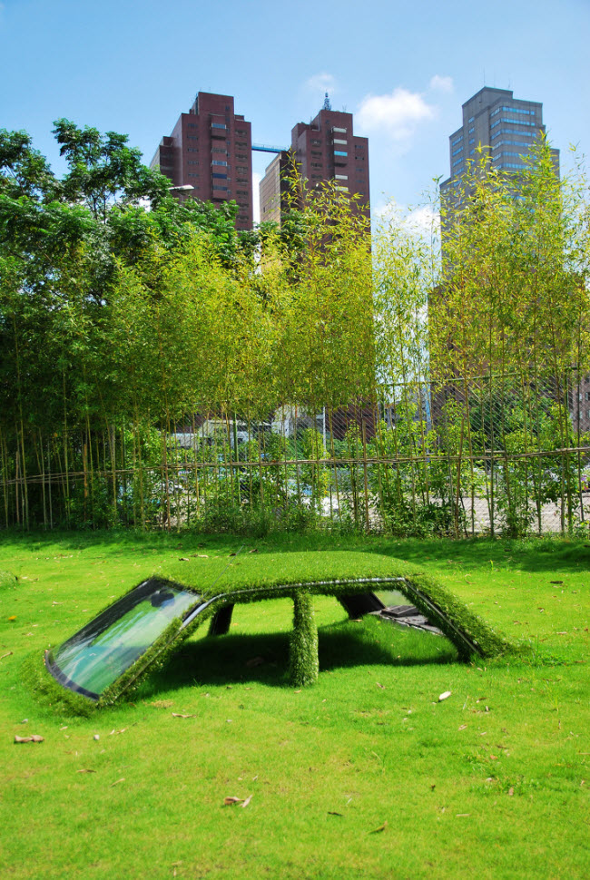 Chiếc ô tô này ở Đài Loan bị cỏ xanh bao phủ hoàn toàn.