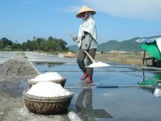 Thị trường - Tiêu dùng - Giá muối rớt thảm hại, &quot;cướp nắng&quot; cả ngày không có nổi trăm ngàn