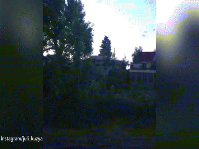 Đội quân muỗi khổng lồ càn quét gia súc ở Nga, nhiều người lo tận thế