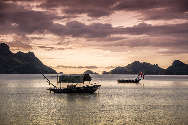 Đảo Cát Bà, Việt Nam: Nằm ở phía bắc Việt Nam, Vườn quốc gia Cát Bà tuyệt đẹp và là nơi tọa lạc của Vịnh Hạ Long, một địa danh nổi tiếng đã được ghi tên trong danh sách Di sản Thế giới được UNESCO công nhận.