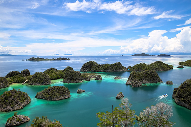 Raja Ampat, Indonesia: Raja Ampat, còn được gọi là Four Kings, là một loạt các đảo tuyệt đẹp nằm tại Papua ở miền đông Indonesia. Hòn đảo này là thiên đường cho những người đam mê các môn thể thao dưới nước với một số điểm lặn tốt nhất thế giới.