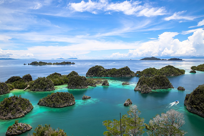 Raja Ampat, Indonesia: Raja Ampat, còn được gọi là Four Kings, là một loạt các đảo tuyệt đẹp nằm tại Papua ở miền đông Indonesia. Hòn&nbsp;đảo này là thiên đường cho những người đam mê các môn thể thao dưới nước với một số điểm lặn tốt nhất thế giới.