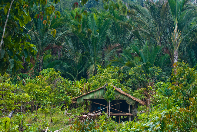 Quần đảo Mentawai, Indonesia: Nằm ngoài khơi Tây Sumatra ở Indonesia, quần đảo Mentawai là một chuỗi khoảng 70 hòn đảo lớn và nhỏ. Các hòn đảo này là một điểm đến nổi tiếng để lướt sóng.