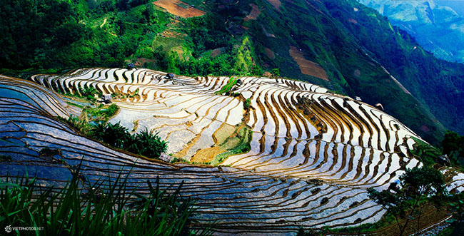 Lên Mù Cang Chải ngắm ruộng bậc thang mùa nước đổ - 2