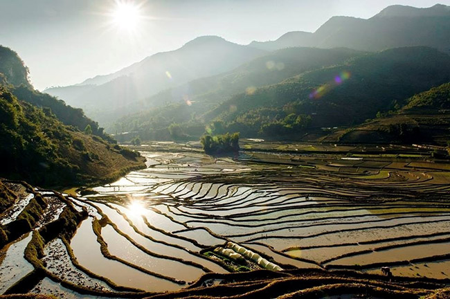 Lên Mù Cang Chải ngắm ruộng bậc thang mùa nước đổ - 4