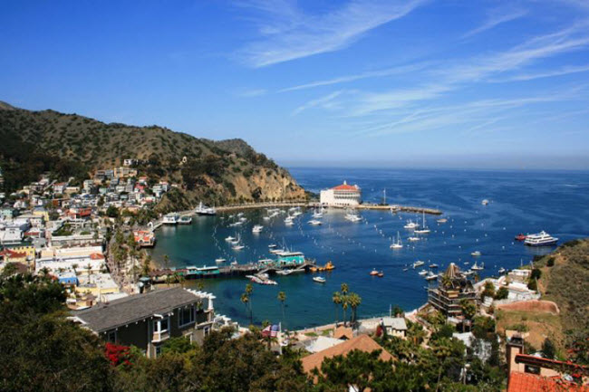 Đảo Catalina, Mỹ: Đây là địa điểm nghỉ dưỡng lý tưởng vì hòn đảo này có thể tiếp cận bằng tàu biển, máy bay và trực thăng từ thành phố Los Angeles. Du khách ưa mạo hiểm có thể tận hưởng các hoạt động chèo thuyền, đi bộ, trượt dây cáp,…
