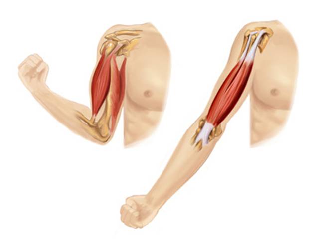 Nếu không muốn gặp họa, nên tránh massage những vị trí này trên cơ thể - 1