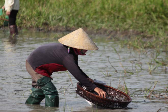 Cả nghìn người lao xuống sông bắt cá để tế thần lấy vận may - 2