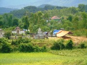 Tin tức trong ngày - Đang chăn dê gần nghĩa địa, hai ông cháu bị sét đánh tử vong