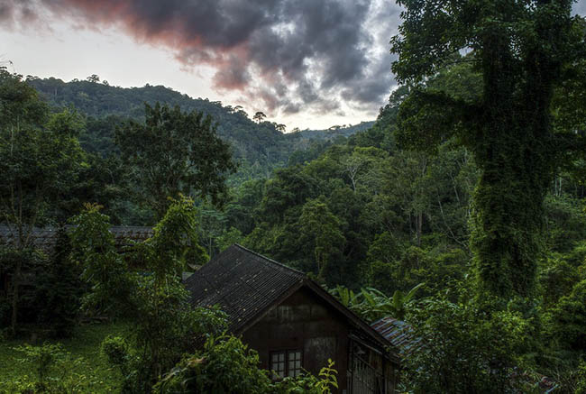 Tận hưởng mùa hè tuyệt vời trên những ngôi nhà trên cây ở Chiang Mai - 6