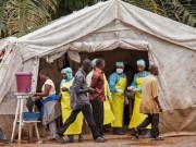 Bộ Y tế họp khẩn, xác định nguy cơ dịch bệnh Ebola vào Việt Nam