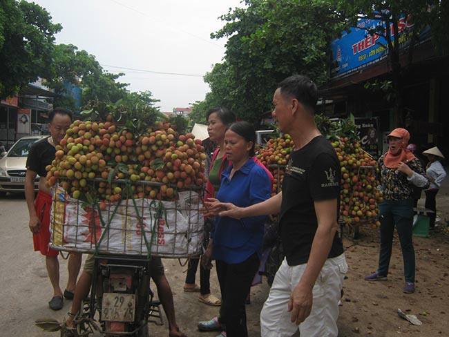 Vải thiều rớt giá thê thảm, nông dân khóc ròng, lợi nhuận chảy vào túi ai? - 7