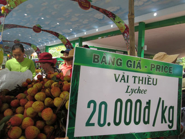 Trung Quốc trúng mùa, trái vải Việt Nam rớt giá sớm - 1