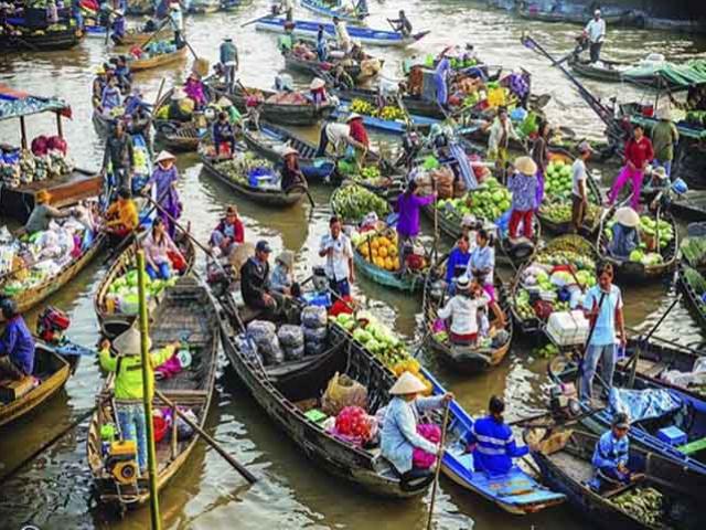 Đến Vĩnh Long để trở về tuổi thơ: Lội ruộng bắt cá, trèo cây hái quả