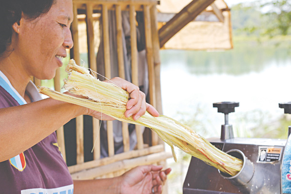 Tại sao nước mía lại được yêu thích trong mùa hè? - 3