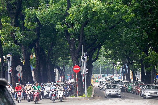 Hình ảnh gây ngạc nhiên trên con đường từng được xem đẹp nhất Sài Gòn - 1