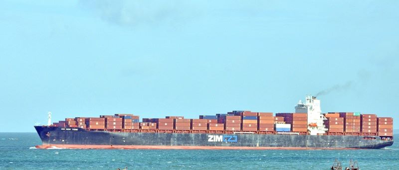 Đình chỉ hoa tiêu dẫn tàu container Hồng Kông mắc cạn - 1