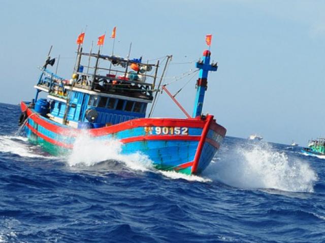 Tàu chìm, 5 ngư dân mất tích sau khi đâm va với ”tàu lạ”