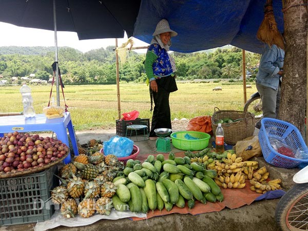 Lên Tây Bắc thưởng thức đặc sản dưa chuột &#34;khủng&#34; của người Mông - 5