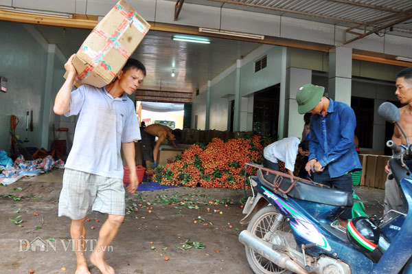 Đủ dịch vụ ăn theo mùa vải thiều: &#34;Lái mồm&#34; cũng kiếm bộn tiền - 6