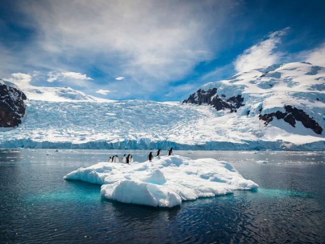 Nam Cực mất 3 nghìn tỷ tấn băng, khiến nước biển dâng cao