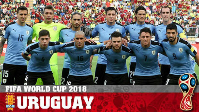 &#34;Những chú ngựa ô&#34; ở World Cup 2018 - 2