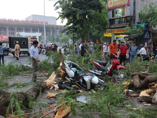 Nhân chứng kể phút cây đổ, đè trúng nhiều người giữa phố Hà Nội