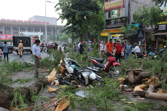 Nhân chứng kể phút cây đổ, đè trúng nhiều người giữa phố Hà Nội - 1