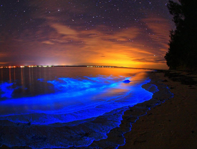 Bãi biển phát sáng, Vaadhoo, Maldives: Bãi biển này trông giống như ở trên hành tinh khác, với mặt nước phát sáng như bầu trời đầy sao.
