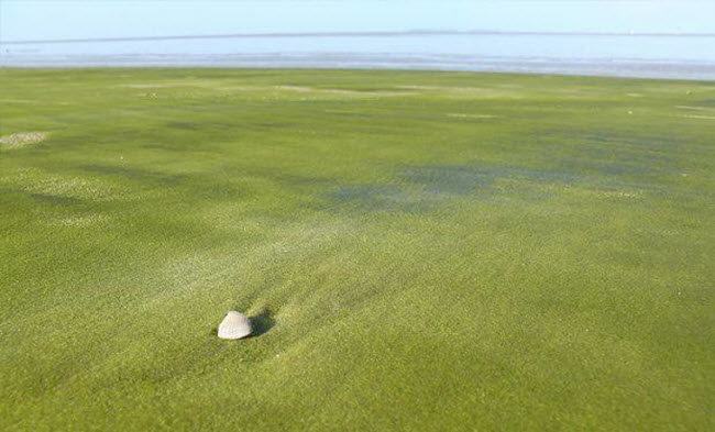 Bãi biển cát xanh, đảo Guiana thuộc Pháp: Bãi biển này không có cát trắng hay vàng mà có màu xanh độc đáo. Nguyên nhân khiến cát có màu như vậy cho đến nay vẫn chưa được xác định.