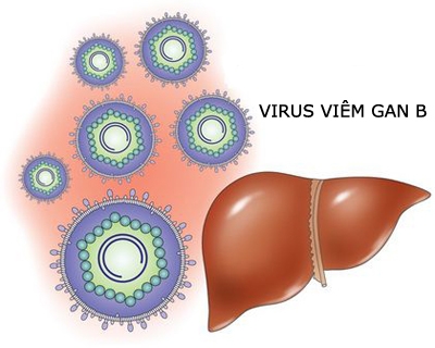 Nhiễm virut viêm gan B có nguy hiểm? - 1
