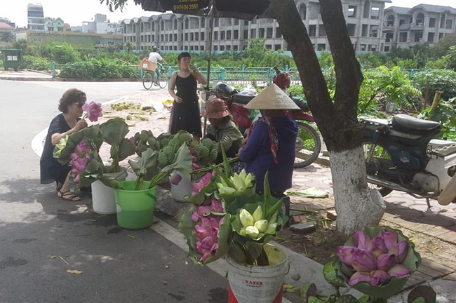 Người dùng trà mua về có thể sử dụng ngay sau đó hoặc&nbsp;để trong ngăn đá tủ lạnh, dùng quanh năm.