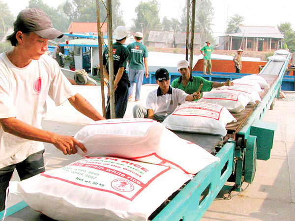 Giá gạo xuất khẩu “lên đỉnh”, vượt cả “ông trùm” Thái Lan - 1