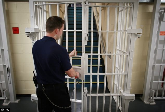 Quốc gia đóng cửa hàng loạt nhà tù vì… quá ế tội phạm - 1