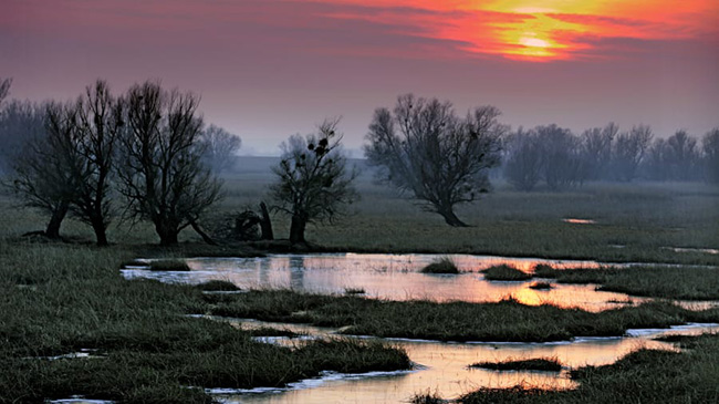 Công viên tự nhiên Kopački rit, Slavonia: Ở góc đông bắc của Croatia cách thị trấn Osijek chưa đầy một giờ lái xe, Công viên Tự nhiên Kopački rit được hình thành bởi sông Danube và Drava.