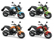 Thế giới xe - Xe côn tay Honda MSX 125 mới về Việt Nam, hút giới trẻ