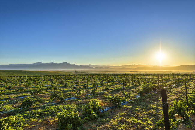 Franschhoek, Nam Phi: Các thủy thủ khám phá khắp thế giới vào những năm 1500 đã dừng lại ở Franschhoek để tiếp tế. Nơi đây có phong cảnh tuyệt đẹp với những dãy núi cao, vườn nho và vườn cây ăn trái.