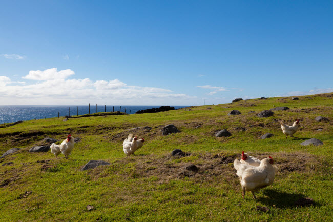 Tristan da Cunha: Đây là quần đảo có người ở xa nhất trên thế giới, cách Nam Phi 2.816 km, cách Nam Mỹ 3.360 km và cách lãnh thổ hải ngoại của Anh Saint Helena&nbsp; 2.173 km về phía nam. Tuy chỉ có 266 người sinh sống, nhưng Tristan da Cunha vẫn có sân gôn 9 lỗ và quán rượu khá nhộn nhịp.