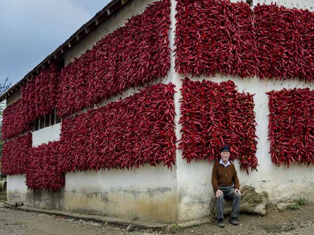 Quê hương đẹp như tranh của các chiến binh Serbia khiến du khách trầm trồ - 1