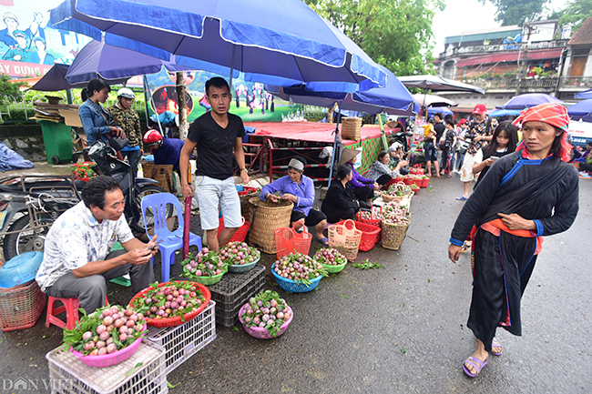 Cứ vào ngày cuối&nbsp;tuần, từng đoàn người lại kéo nhau về thị trấn Bắc Hà họp chợ. Đang mùa&nbsp;mận tam hoa, nên ở hầu hết các góc chợ đều có một màu chủ đạo của mận.
