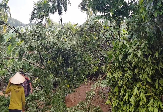 Kinh hoàng lốc xoáy quét giữa mùa hè, hàng loạt nhà dân bay nóc - 4