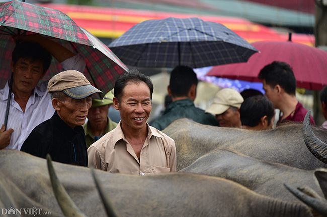 &#34;Khi đã ưng cái bụng thì bán, không ưng thì có trả cao cũng không bán&#34;, một người bán trâu&nbsp; tại Bắc Hà nói.&nbsp;
