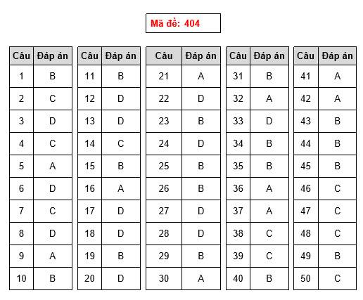 Gợi ý làm bài thi THPT Quốc gia 2018 môn Ngoại Ngữ - 2