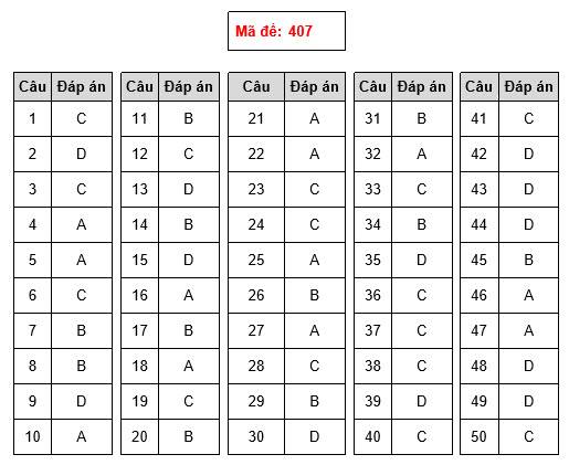 Gợi ý làm bài thi THPT Quốc gia 2018 môn Ngoại Ngữ - 3