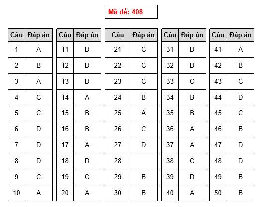 Gợi ý làm bài thi THPT Quốc gia 2018 môn Ngoại Ngữ - 4