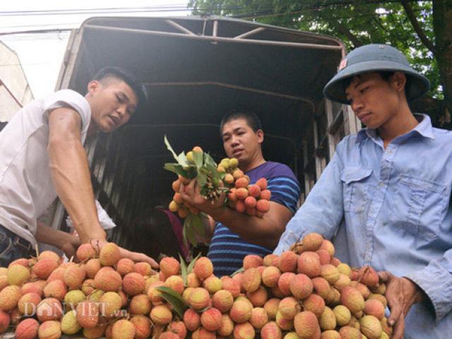 Mùa vải thiều thắng lợi ở Bắc Giang: Thu 1.000 tỷ đồng/tuần!